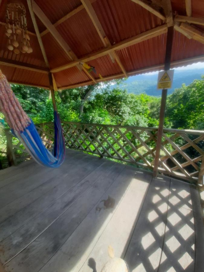 Deep Forest Posadas Ecoturisticas El Zaino Eksteriør bilde
