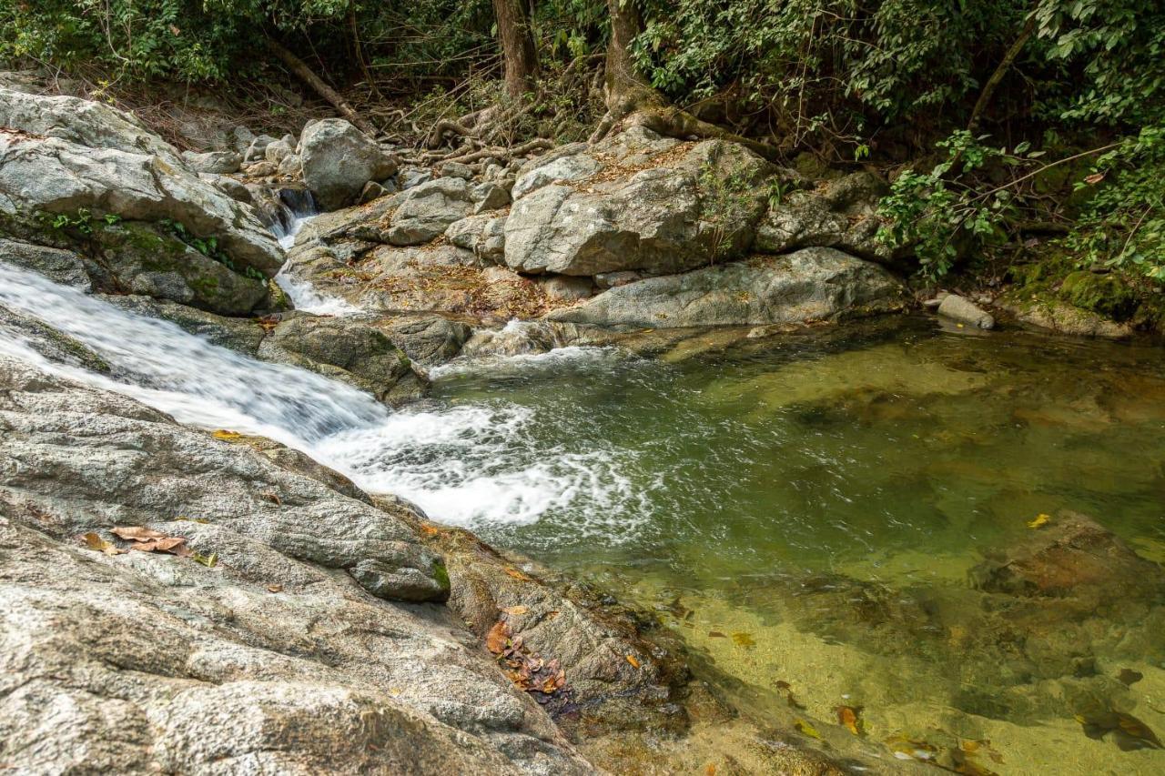 Deep Forest Posadas Ecoturisticas El Zaino Eksteriør bilde
