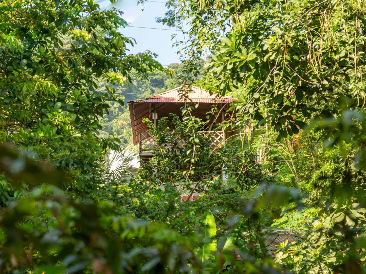 Deep Forest Posadas Ecoturisticas El Zaino Eksteriør bilde