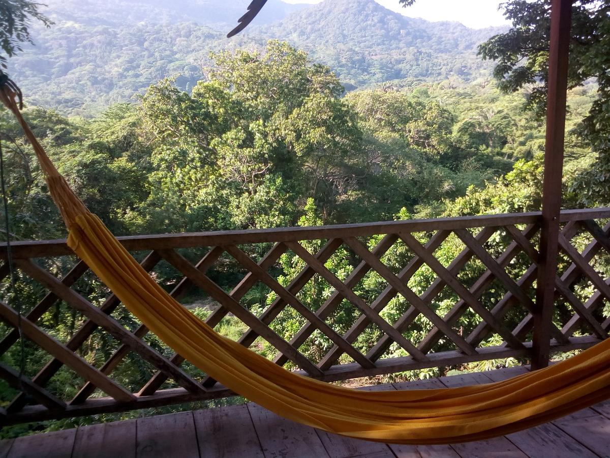 Deep Forest Posadas Ecoturisticas El Zaino Eksteriør bilde